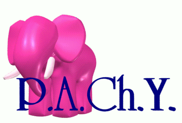 The PAChY elephant